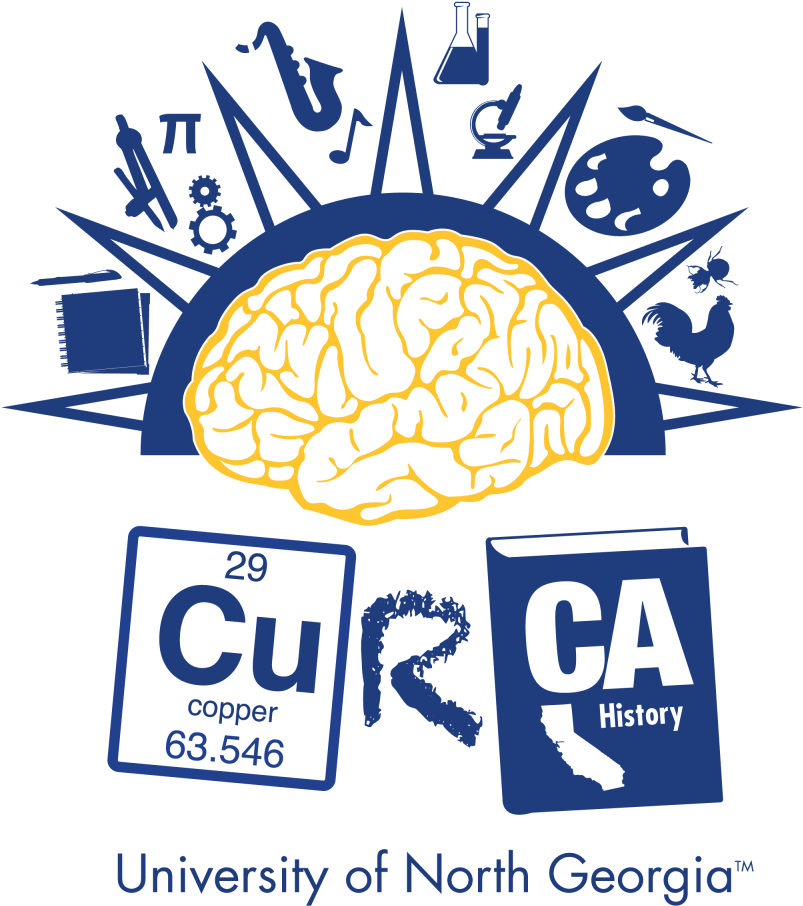President Of The Georgia Undergraduate Research Collective - Framed Canvas Art - The Man With Two Brains Minimal Clipart (1200x1200), Png Download
