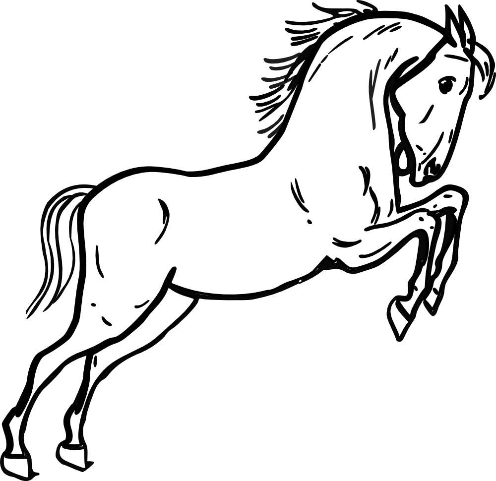 Horse Cliparts Black And White - Png Download (640x620), Png Download