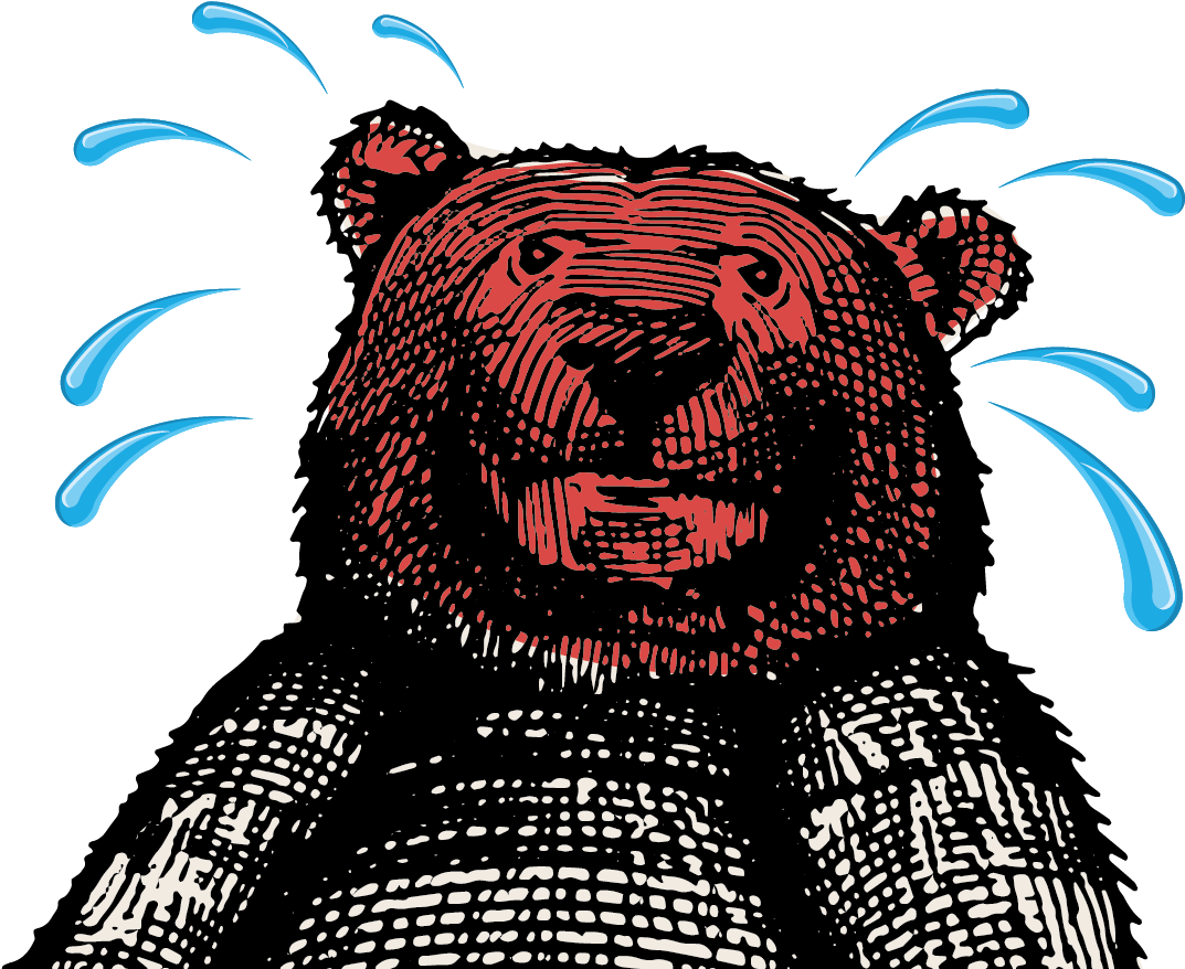 Kodiak Bear Clipart (1943x1017), Png Download