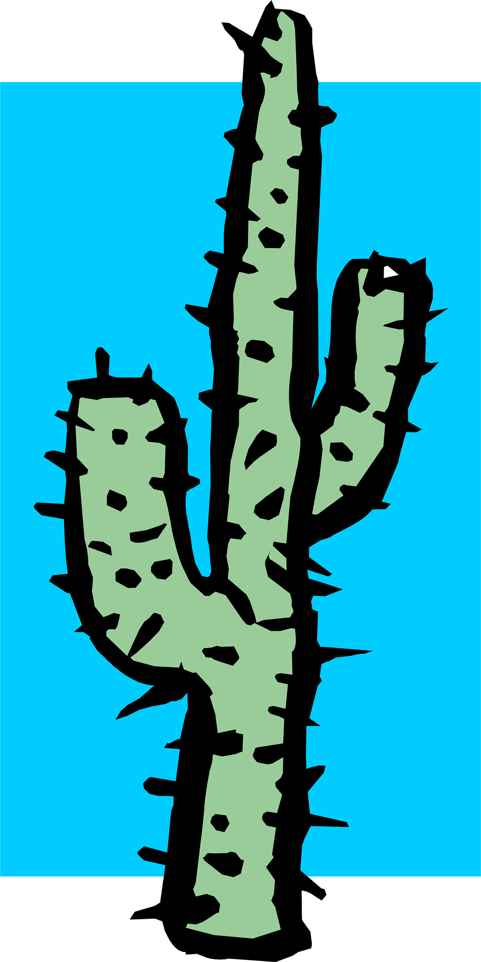 Garland Clipart Cactus - Cactus - Png Download (958x1916), Png Download