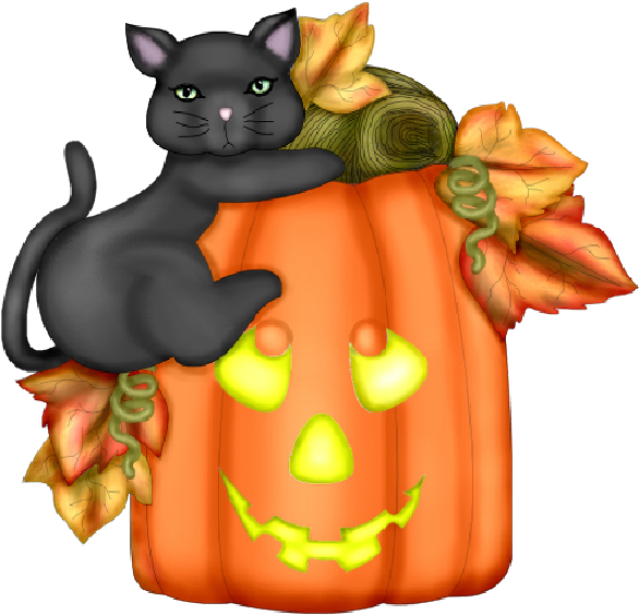 Download Orange Clipart Clip Art Autumn Cat Halloween - Good Morning Halloween Saturday - Png Download (600x600), Png Download