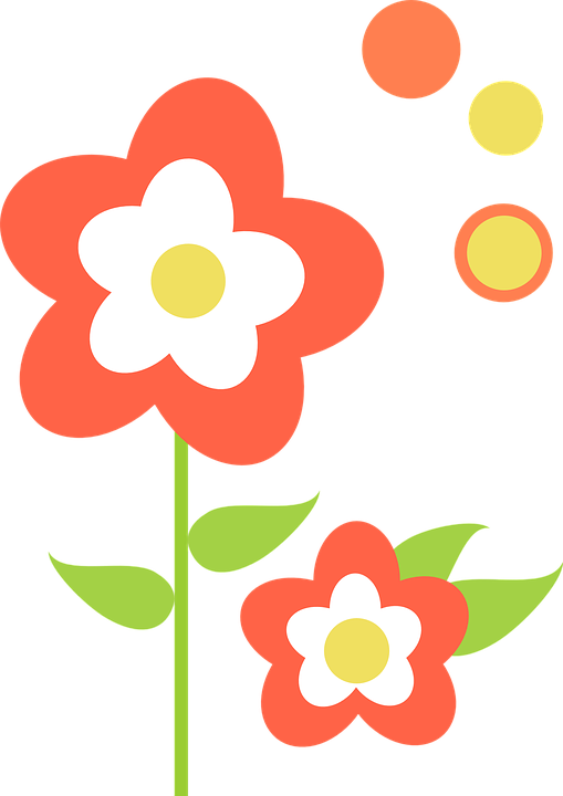 Orange Hibiscus Cliparts 26, Buy Clip Art - Flor Com Folha Png Transparent Png (509x720), Png Download