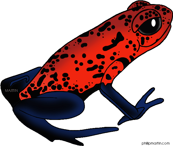 Rainforest Frogs Clipart - Cartoon Poisonous Dart Frog - Png Download (648x533), Png Download