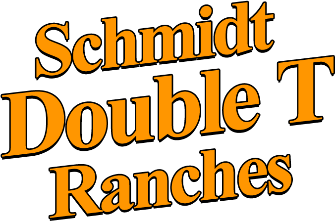 Whitetail Deer Hunts - Calligraphy Clipart (700x665), Png Download