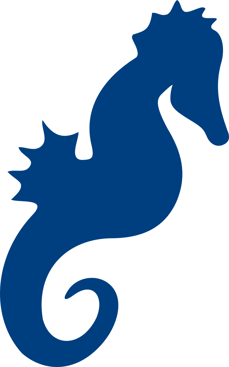 Cliparts Seahorse Sillhoetts 9, Buy Clip Art - Seahorse Silhouette - Png Download (450x720), Png Download