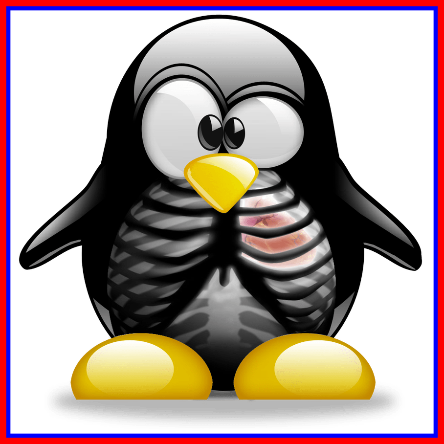 Clipart Freeuse Library Stunning Tux Ray Of Trends - Tux Kali Linux - Png Download (908x908), Png Download
