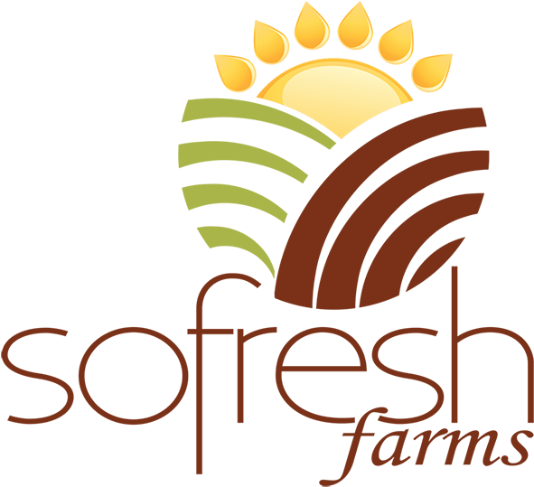 In 2010, Sofresh Farms Formally Began Our Journey To Clipart (600x541), Png Download