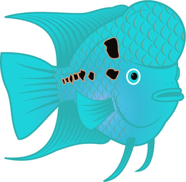 Flowerhorn Fish - Flower Horn Fish Clip Art - Png Download (600x585), Png Download