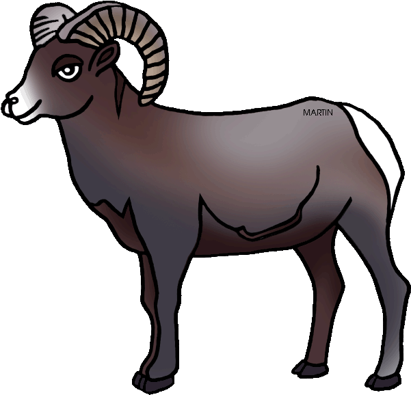 United States Clip Art By Phillip Martin, Colorado - Rocky Mountain Bighorn Sheep Cartoon - Png Download (648x612), Png Download