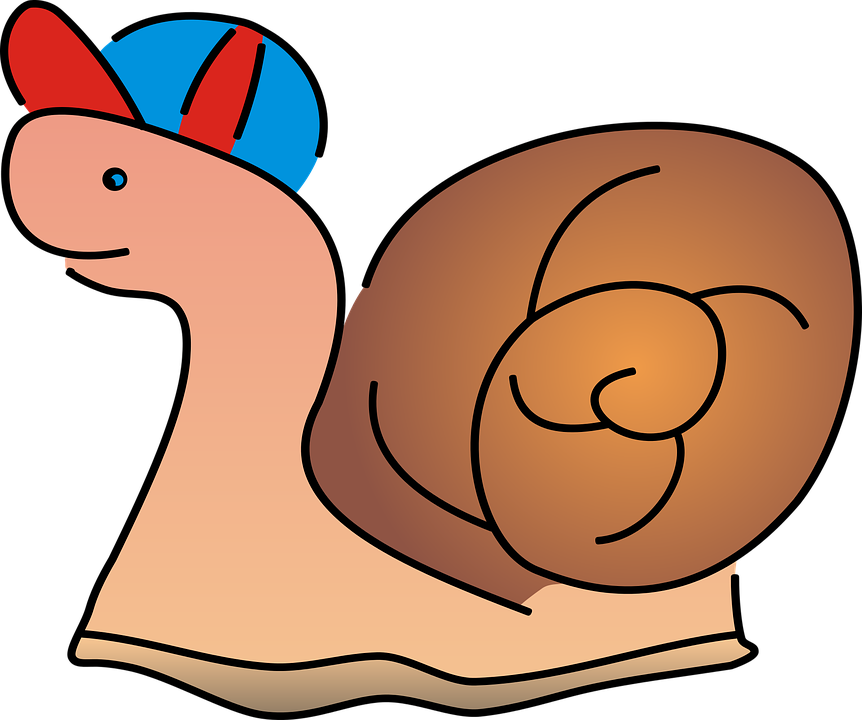 Snails Cliparts 19, Buy Clip Art - Spreadshirt Hat - Png Download (862x720), Png Download