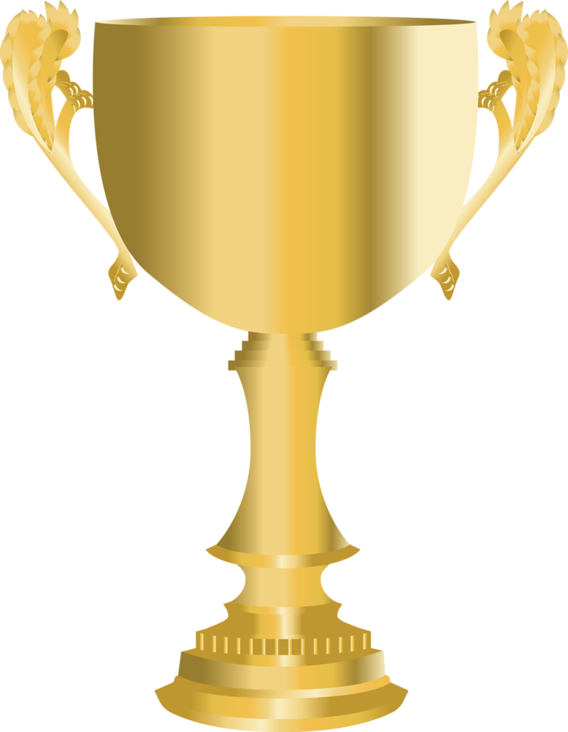 Golden Cup Png - Спортивный Кубок Png Clipart (795x1024), Png Download