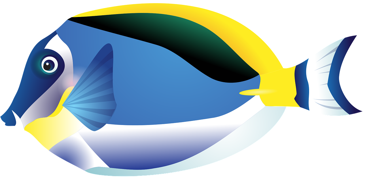 Tropical Fish Cliparts 1, Buy Clip Art - Tropical Fish Drawing - Png Download (960x480), Png Download