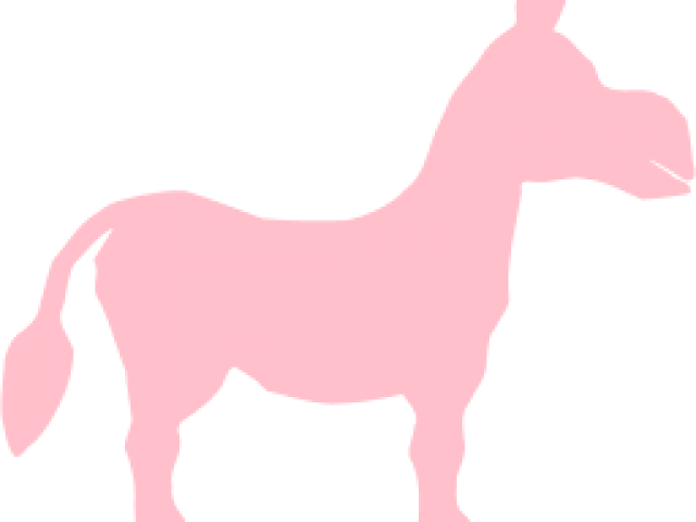 Donkey Transparent Image White Clipart (640x480), Png Download