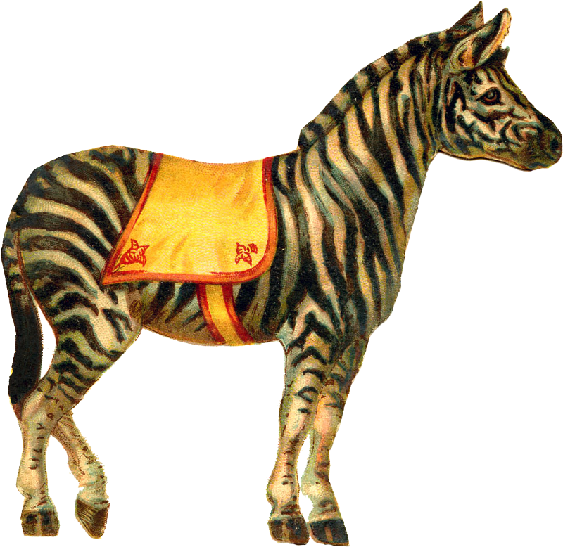 Zibi Vintage Scrap - Vintage Circus Animal Clipart - Png Download (800x778), Png Download