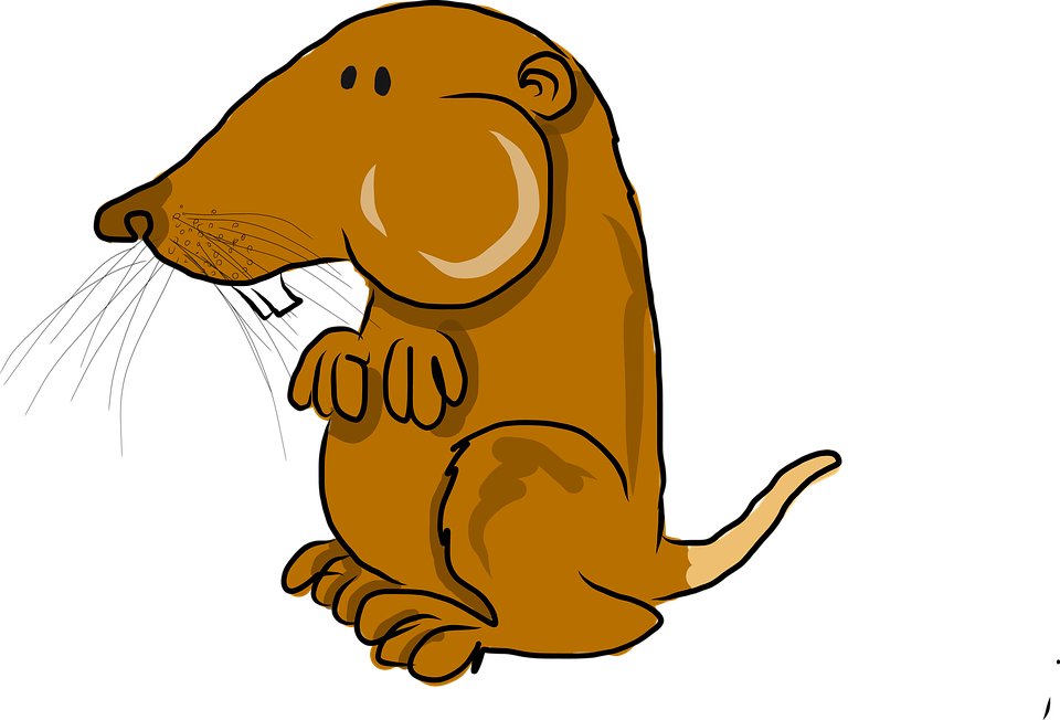 Cartoon Rattlesnake 18, Buy Clip Art - Pocket Gopher Cartoon - Png Download (960x652), Png Download