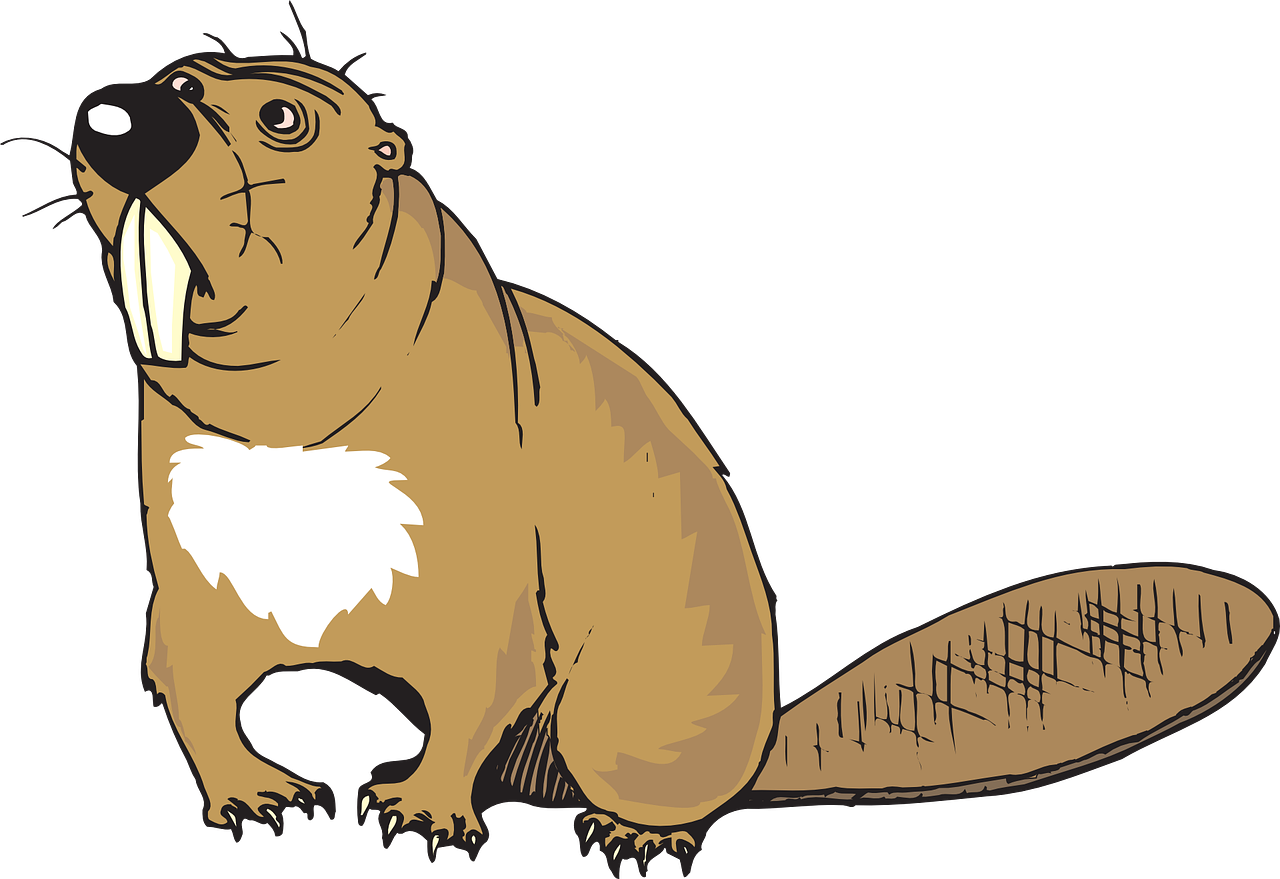Custom Brown Beaver Sticker Clipart (1280x879), Png Download