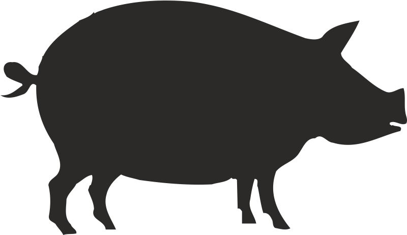 A Silhouette Is The Image Of A Person Animal Object - Animal Silhouette Clipart (800x800), Png Download