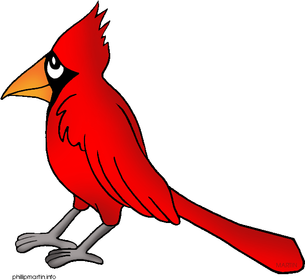 Cardinal Feathers Clipart - Cardinal Clip Art - Png Download (648x599), Png Download