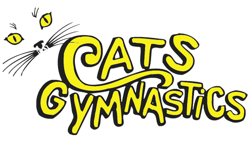 Helping To Build Your Child's Future - Cats Gymnastics-wellington Clipart (800x481), Png Download