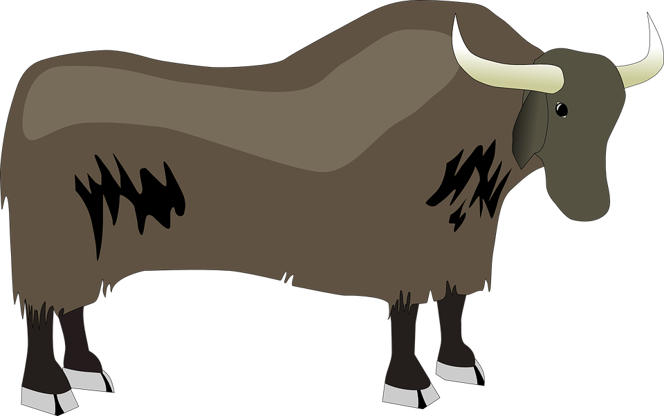 Cow Cliparts 8, Buy Clip Art - Yak Clipart Png Transparent Png (960x602), Png Download