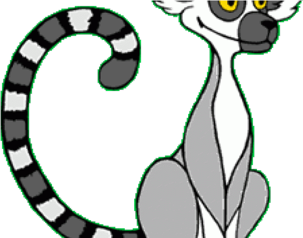 Lemur Clipart Face - Clip Art - Png Download (640x480), Png Download