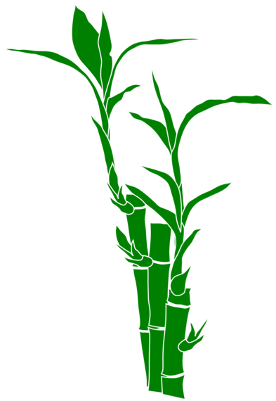 Bamboo Png 18, Buy Clip Art - Bamboo Clip Art Transparent (497x720), Png Download