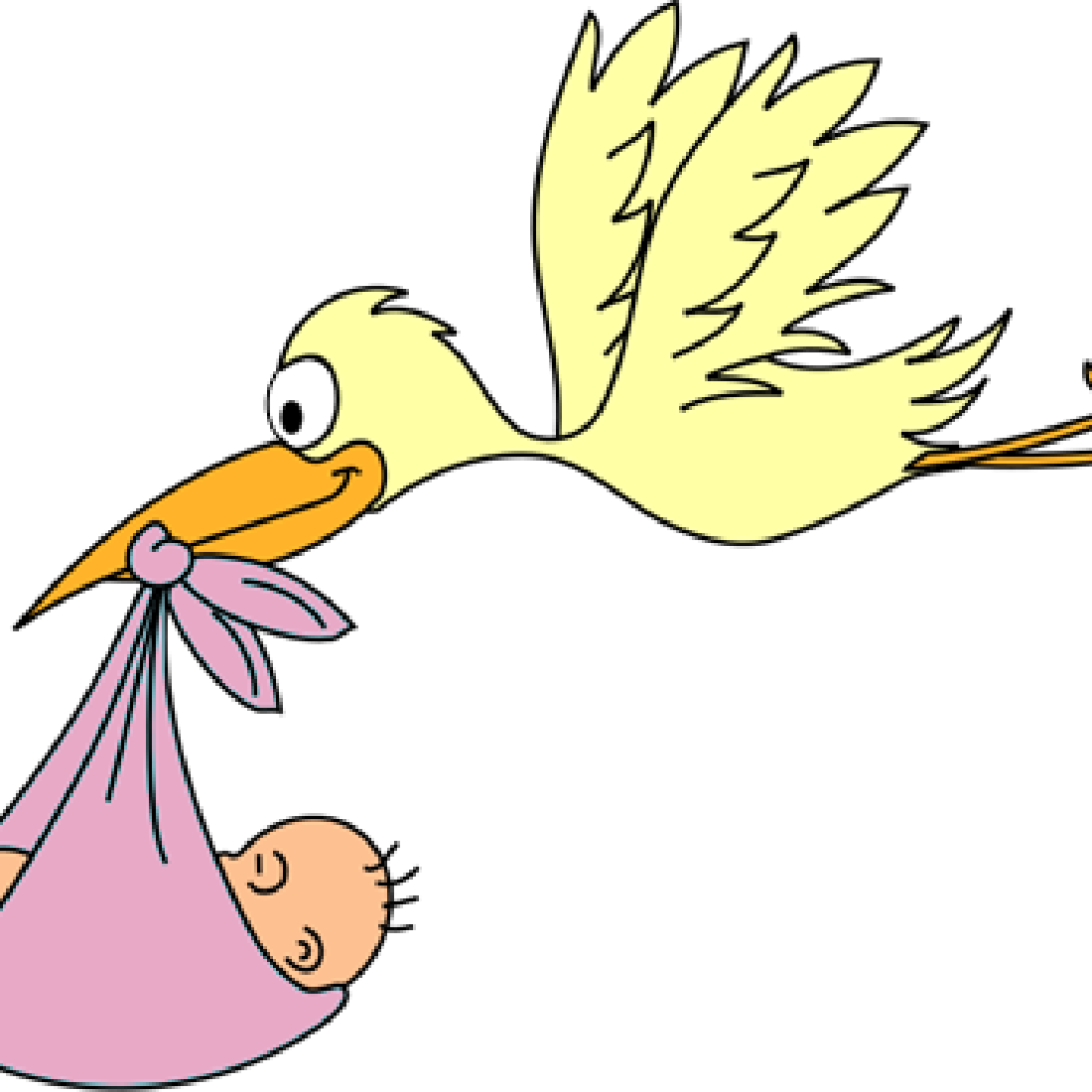 Animated Baby Clipart Stork Ba Clipart Free Graphics - Dibujo Cigueña Con Bebe Para Colorear - Png Download (1024x1024), Png Download