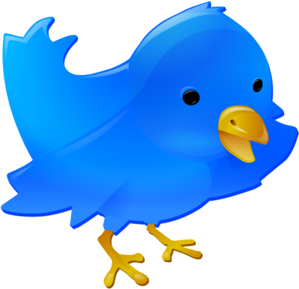 Twitter Bird Free Images At Clker Com Vector Clip Art - Web Buttons - Png Download (600x600), Png Download