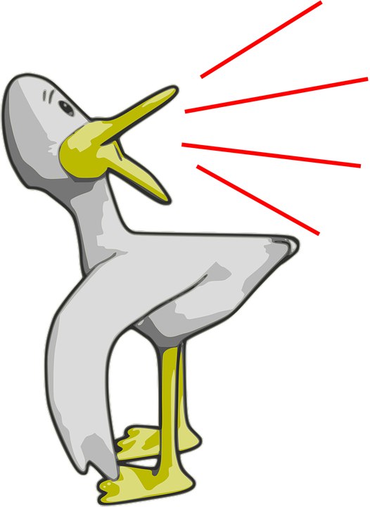 Cartoon Duck Shower Curtain Clipart (526x720), Png Download