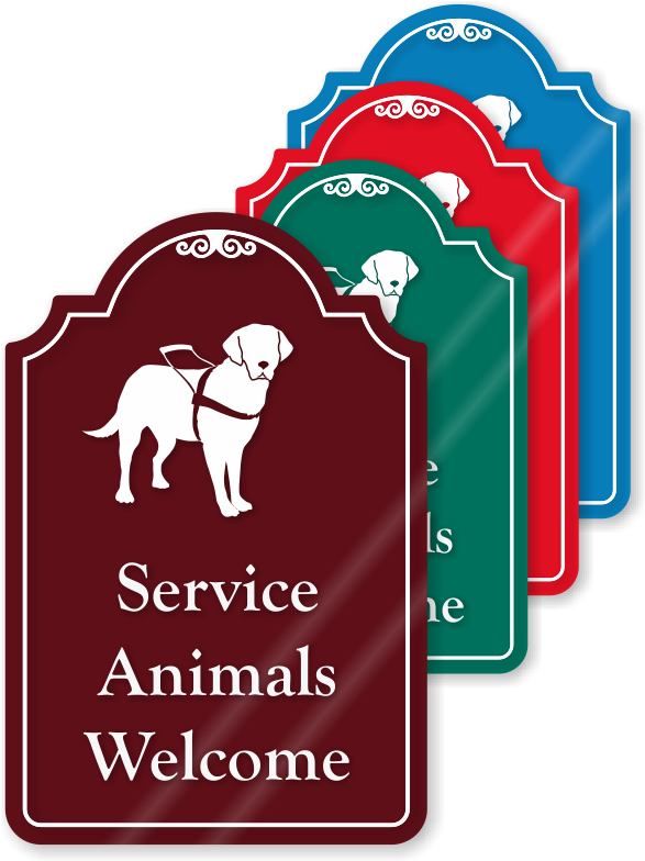 Zoom, Price, Buy - No Alcohol Past This Point Sign Clipart (800x800), Png Download