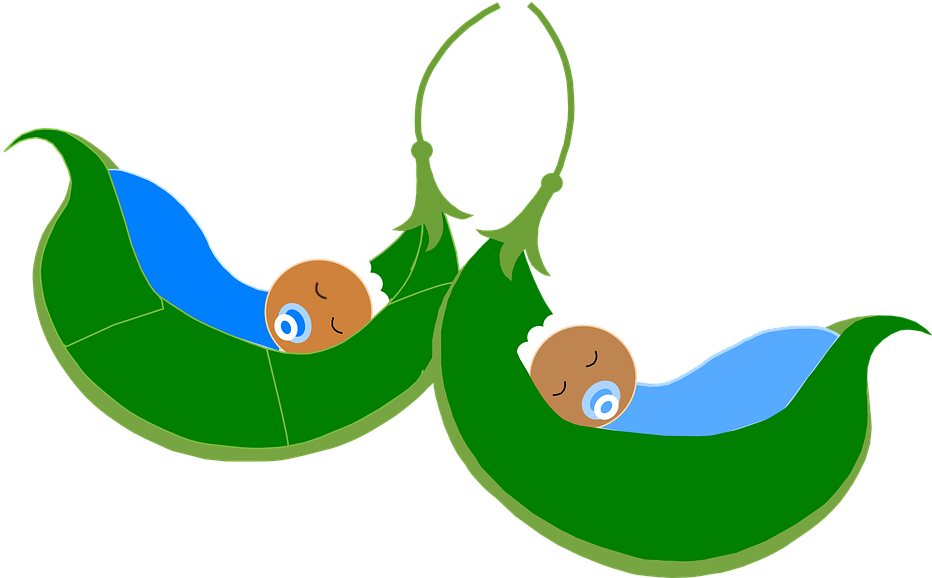 Baby Peas In A Pod Clipart (960x577), Png Download
