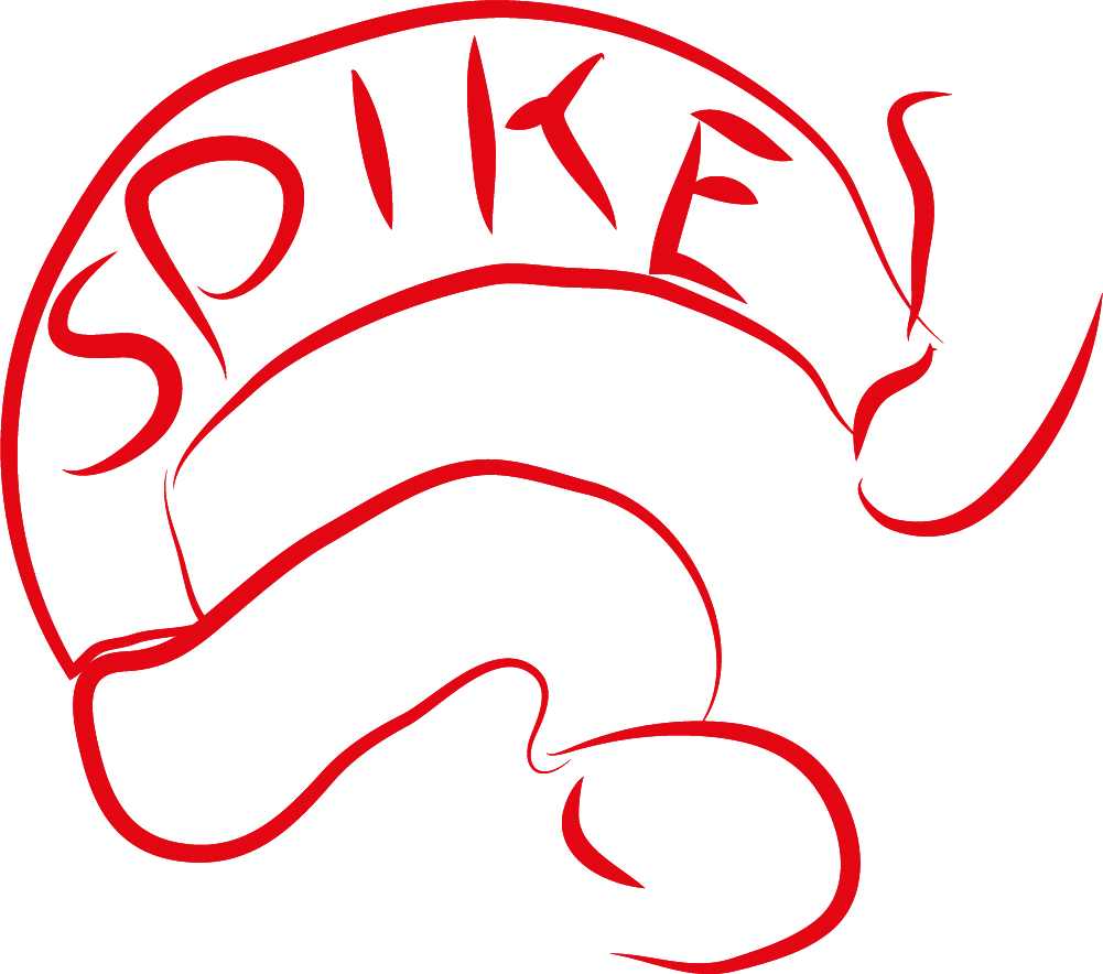 Medienpartner - Spike Art Quarterly Clipart (1001x884), Png Download