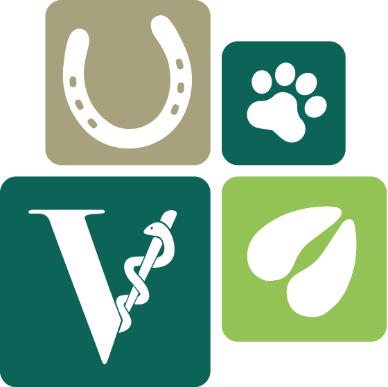 Graphic Design Clipart (560x558), Png Download