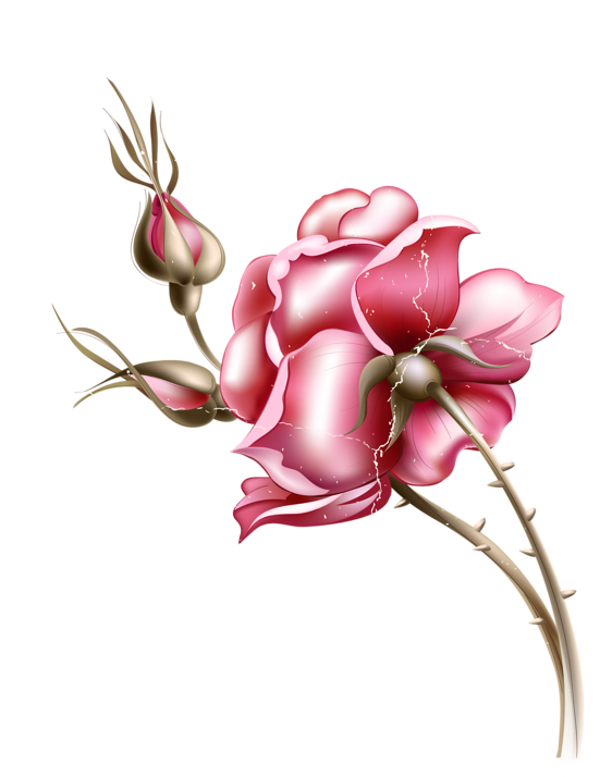 Фото, Автор Angelin На Яндекс - Popeven Vintage Flower Linen Throw Accent Pillow Case Clipart (600x800), Png Download