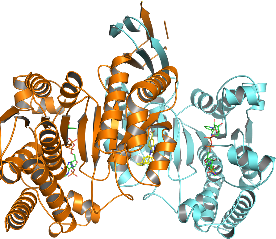 Heidelberg Substanz Blockiert Krebsspezifische Mutation - Brown Clipart (900x900), Png Download