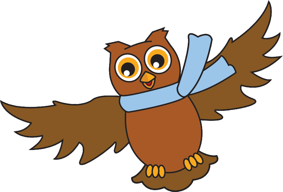 Download Owl Clipart Owl Clip Art Owl Illustration - Cartoon - Png Download (900x613), Png Download