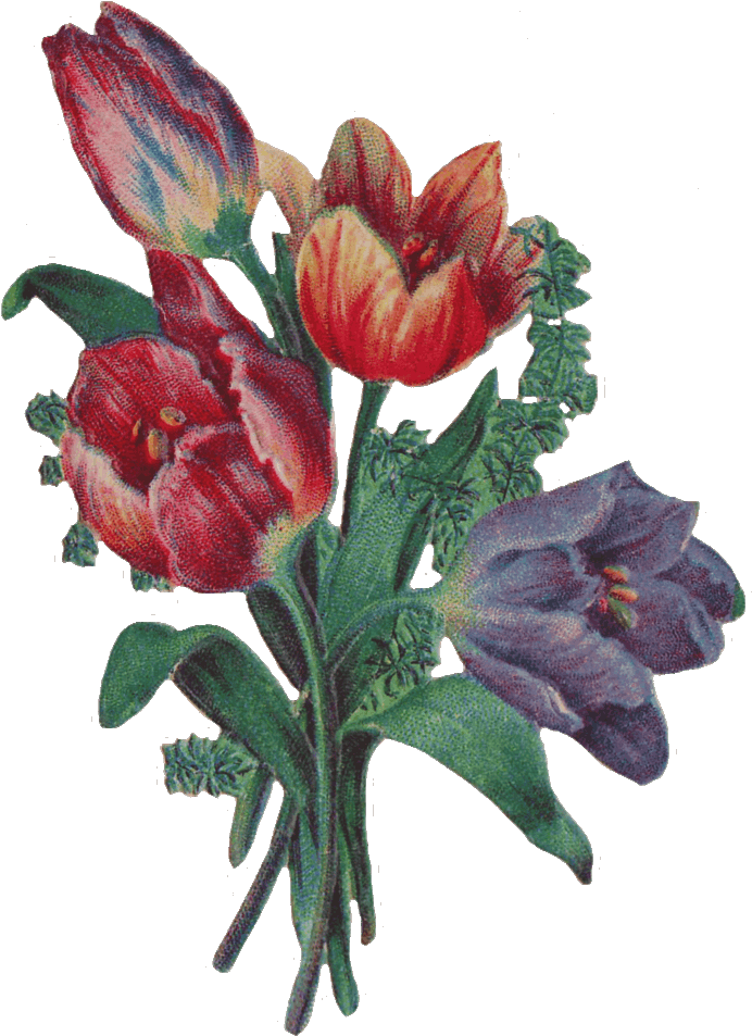 Victorian Flowers Cliparts - Victorian Flower Art - Png Download (714x990), Png Download