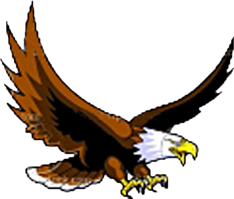 Download Flying Eagle Clip Art Clipart Bald Eagle Clip - Flying Eagle Clip Art - Png Download (899x675), Png Download