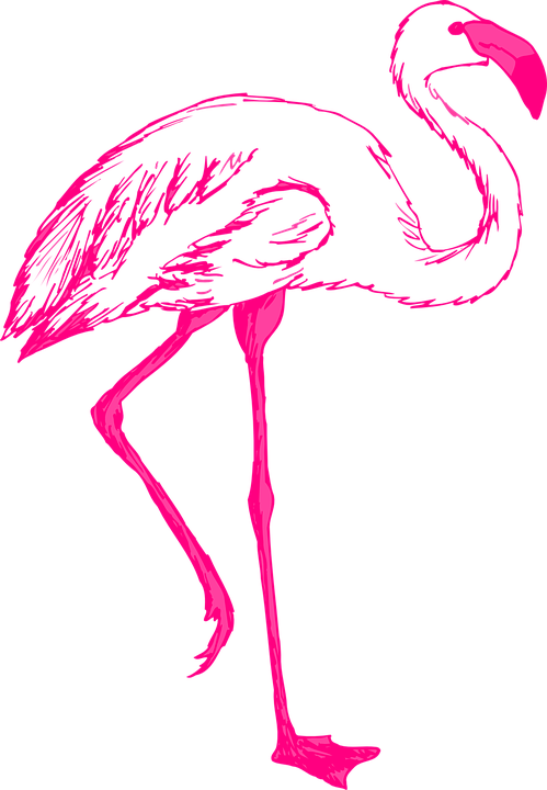 Pink Flamingo Cliparts 17, Buy Clip Art - Flamingos Drawing - Png Download (499x720), Png Download