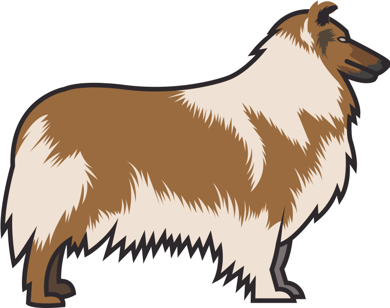 Dog Clipart (800x800), Png Download