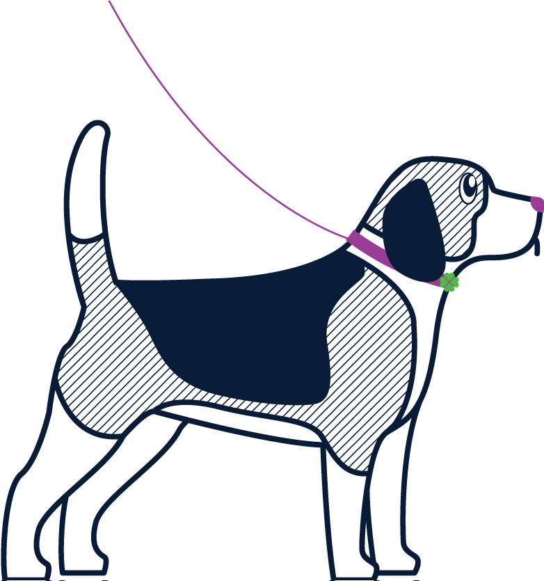 Dog Sitter, Dog Sitting, Dog Walking Clipart (800x834), Png Download