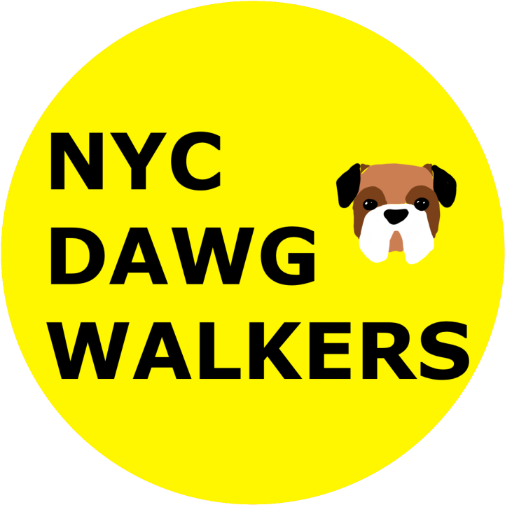 With Us You Will Get The Best Service At An Unbelievable New Mexico