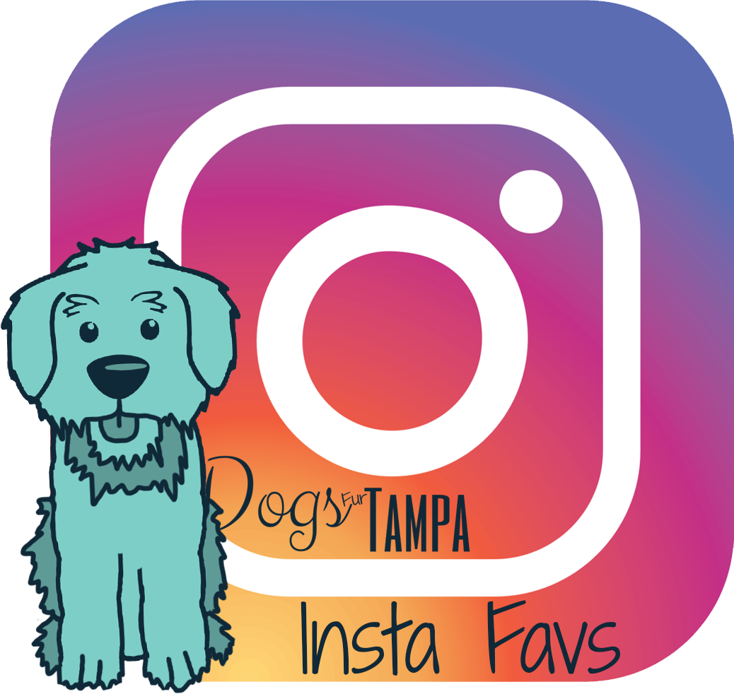 Furry Clipart Mother Dog Puppy - Instagram - Png Download (1038x982), Png Download