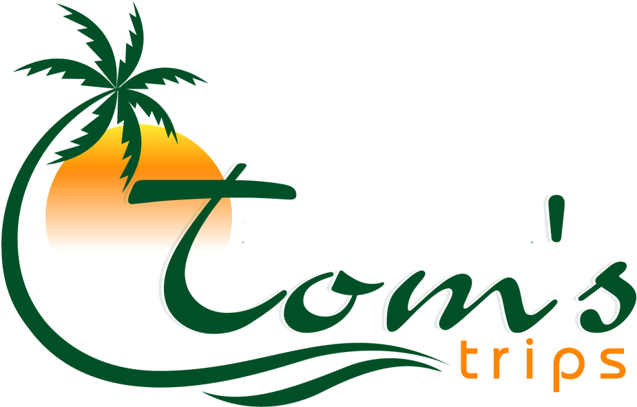 What Is The Ms - Logo Clipart (1000x674), Png Download