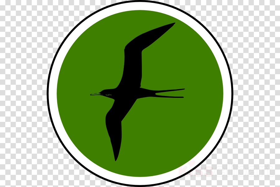 Bird Nerd Birding T-shirt Flask Clipart Beak Bird Clip - Turma Galinha Pintadinha Png Transparent Png (900x600), Png Download