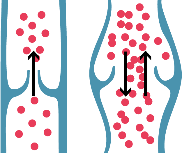 Healthy Vein Valve & Correct Blood Flow Shown On The - Valves Veins Png Clipart (700x525), Png Download