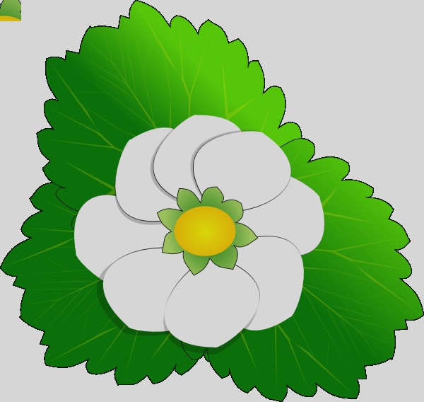 Flower Clip Art - Png Download (600x568), Png Download