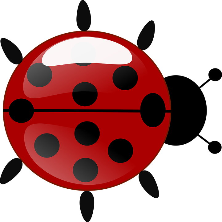 Cute Ladybug Clipart 13, Buy Clip Art - Joaninha Da Ladybug Em Png Transparent Png (721x720), Png Download