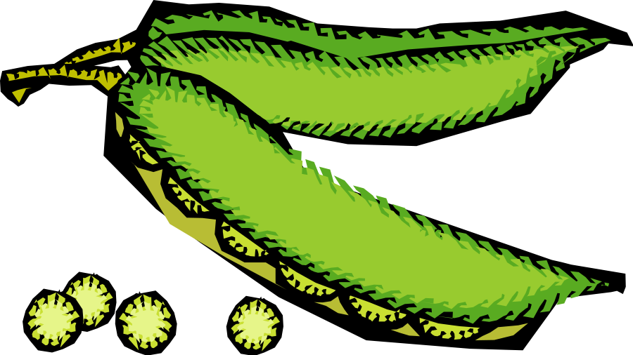This Free Clip Arts Design Of Vegetables 48 - Png Download (900x506), Png Download