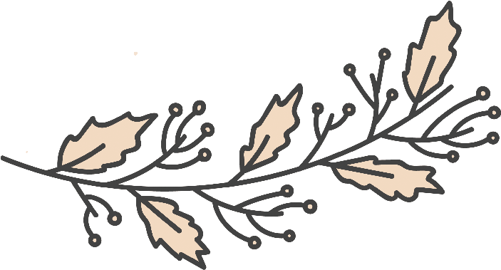 Decorative Divider Branch Clipart (800x396), Png Download